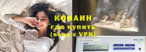 шишки Болхов