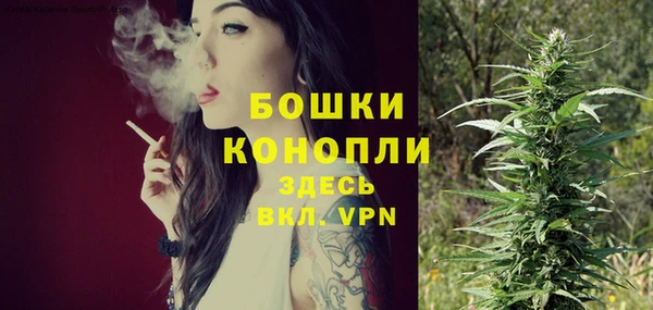СК Болохово