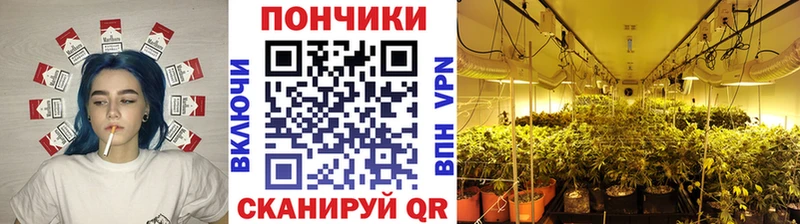Бошки Шишки White Widow  Коломна 